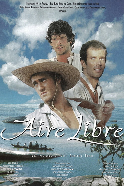 Aire Libre poster