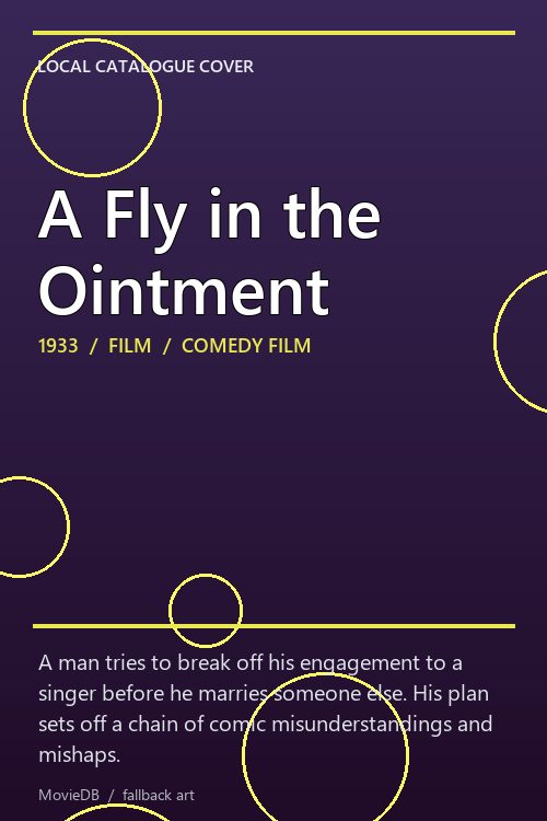 A Fly in the Ointment poster