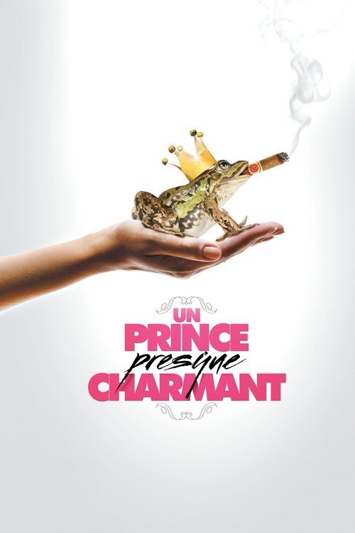 Un prince (presque) charmant poster