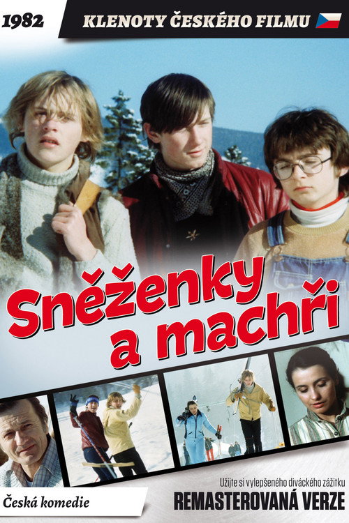 Sněženky a machři poster