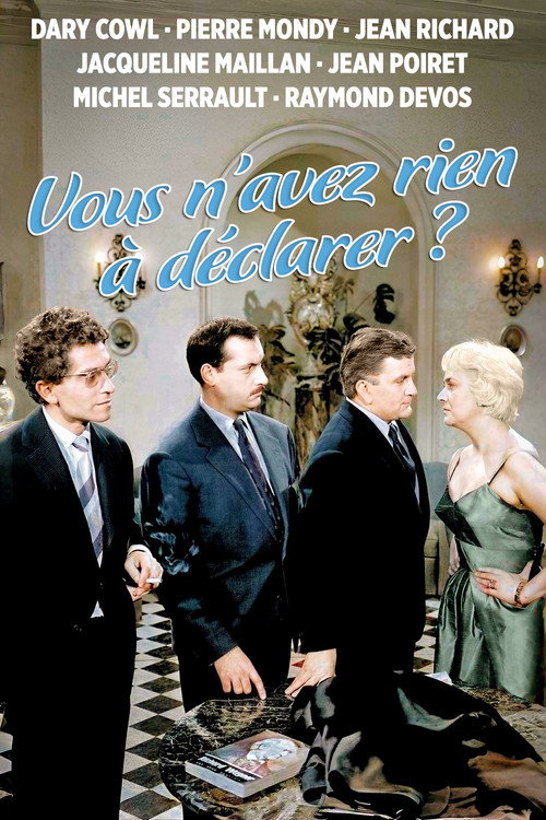 You Have Nothing to Declare? poster