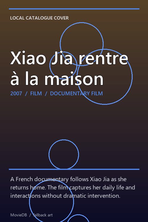 Xiao Jia rentre à la maison poster
