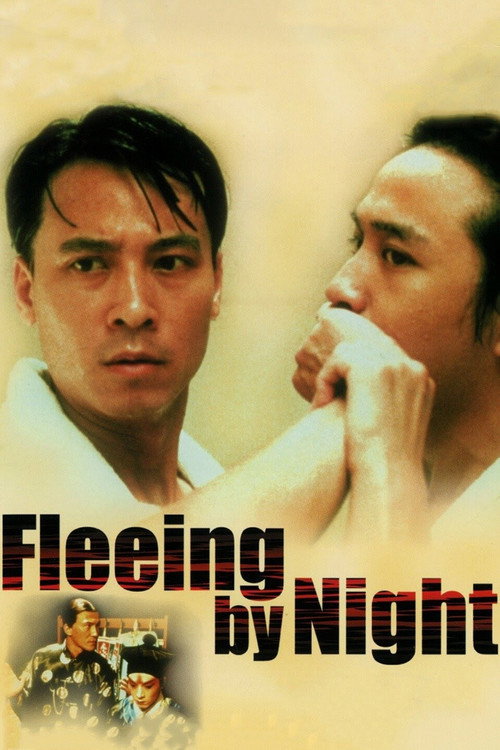 Fleeing by night poster