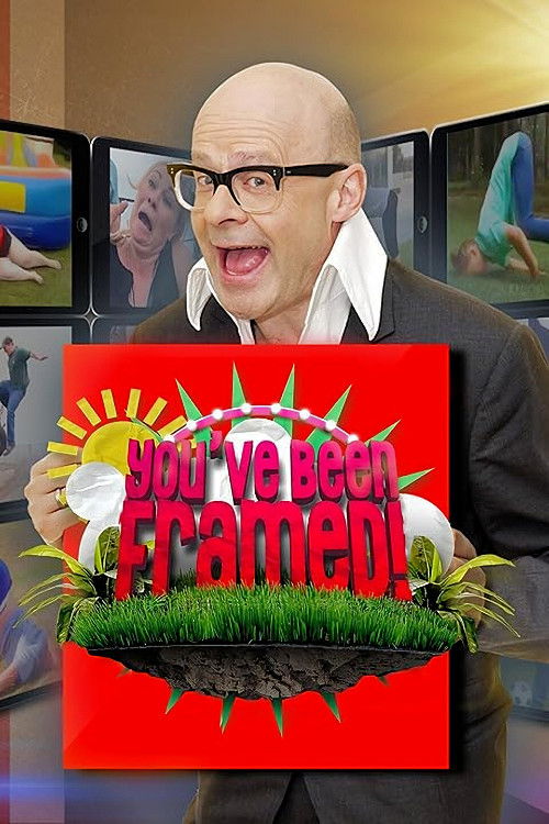 You've Been Framed poster