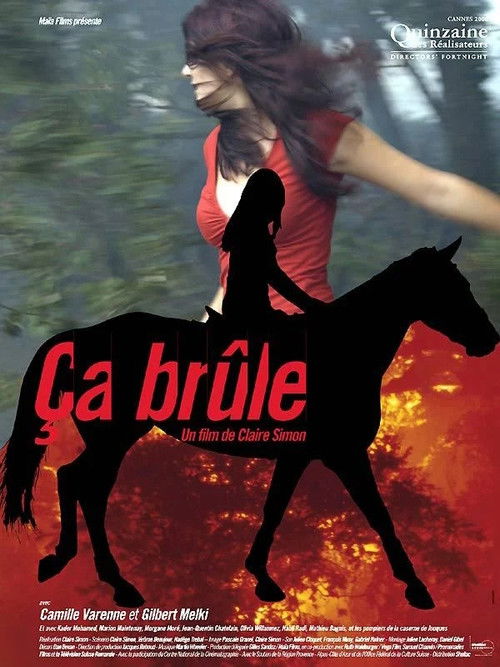 On Fire poster