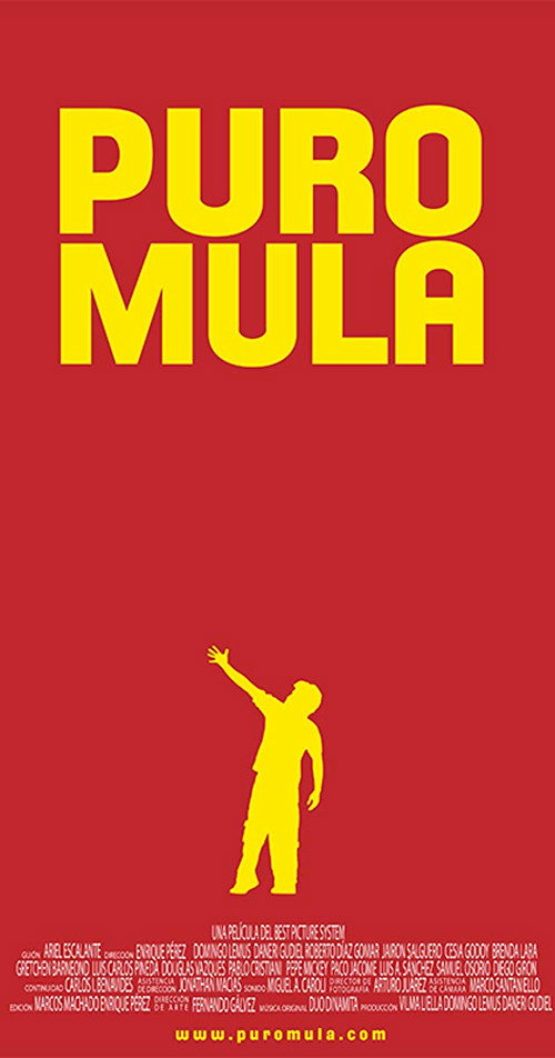 The Dumbass poster