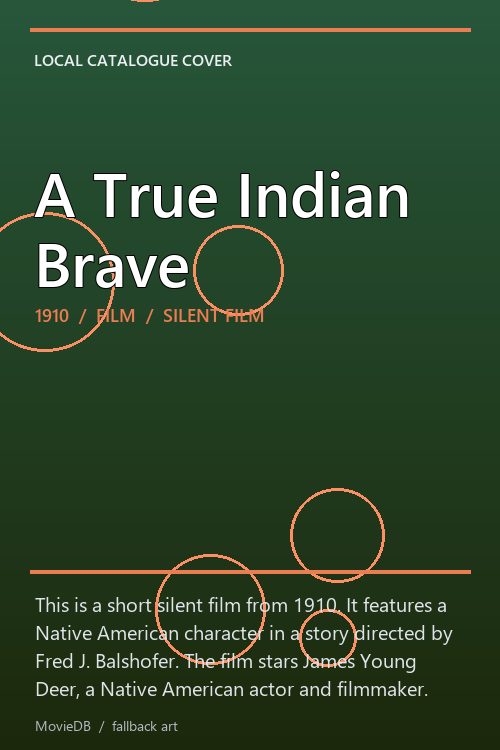 A True Indian Brave poster
