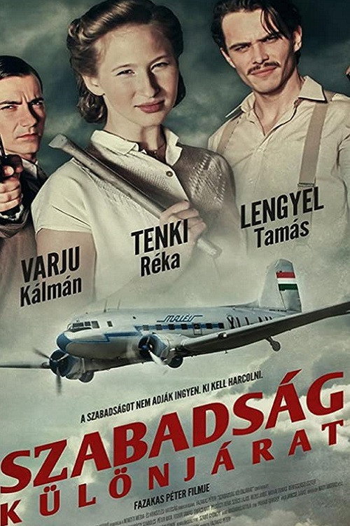 Freedom Flight poster