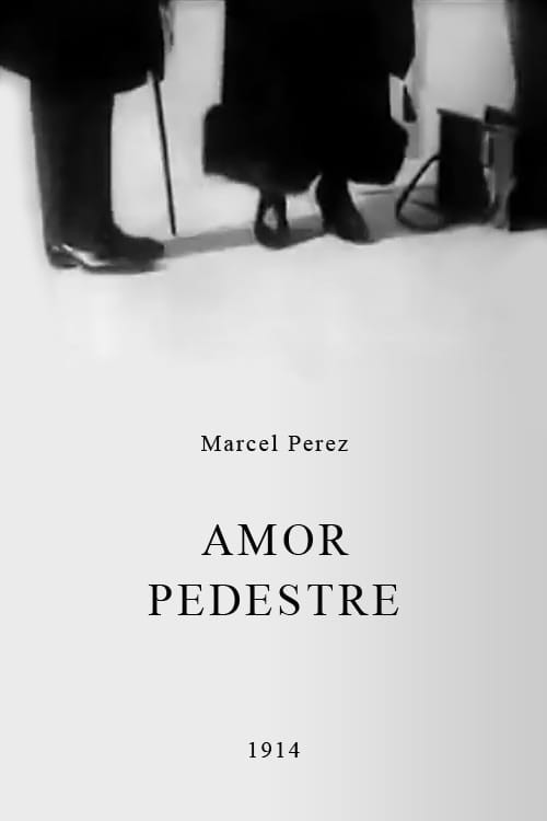 Amor pedestre poster