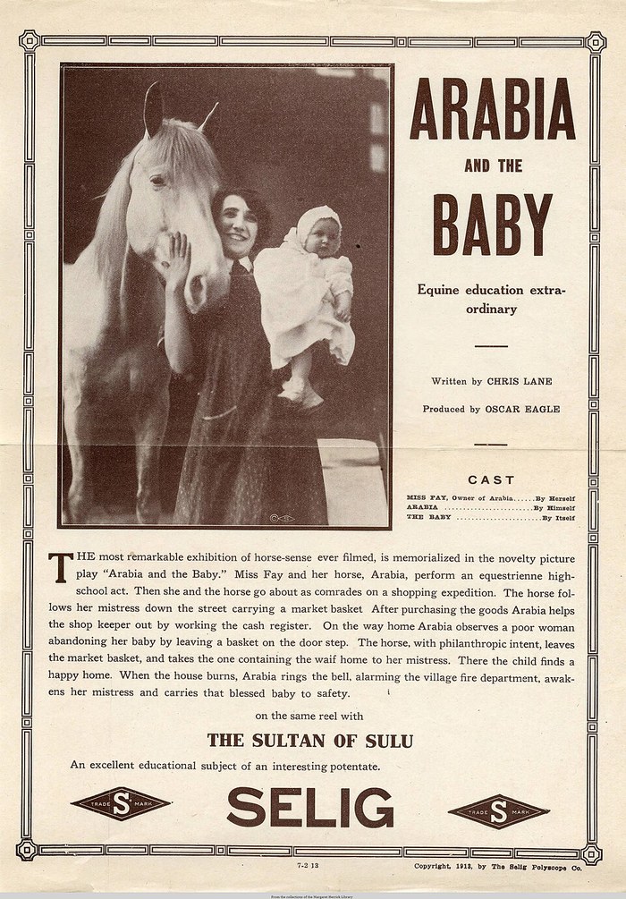 Arabia and the Baby poster