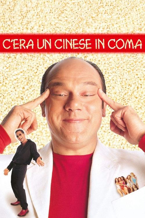 A Chinese in a Coma poster