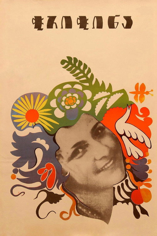 The Dragonfly poster