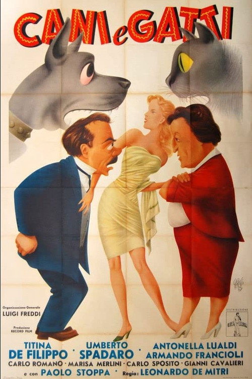 Cani e gatti poster