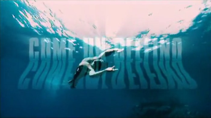 Come un delfino - La serie poster