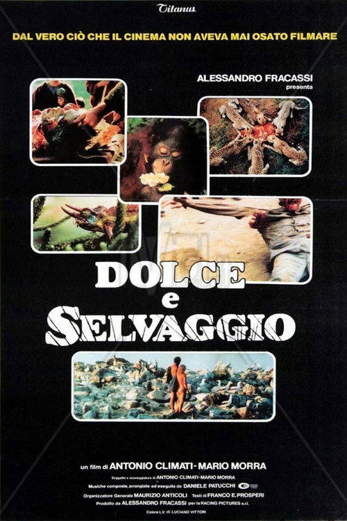 Dolce e selvaggio poster