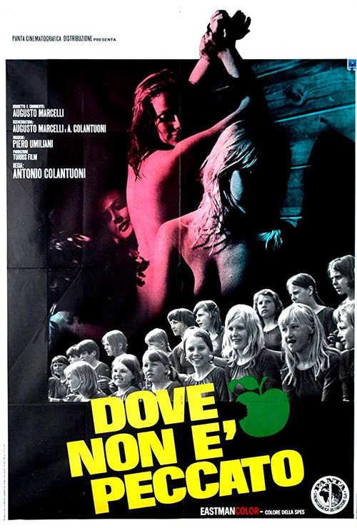 Dove non è peccato poster