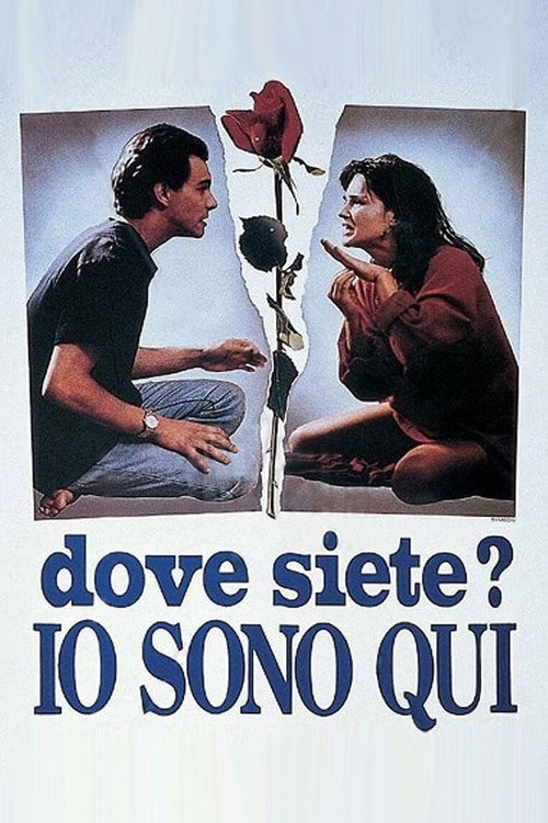 Where Are You? I'm Here poster