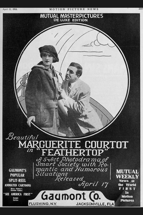 Feathertop poster