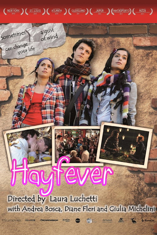 Hayfever poster