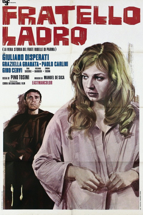 Fratello ladro poster