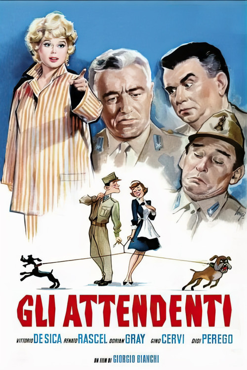 The Orderly poster