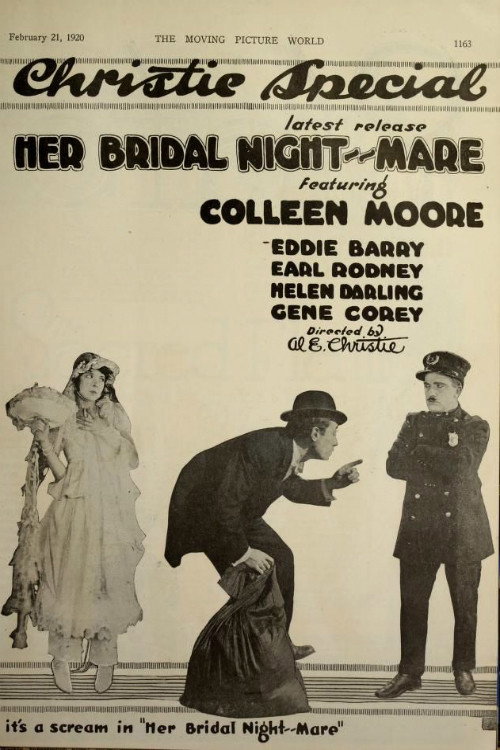Her Bridal Nightmare poster