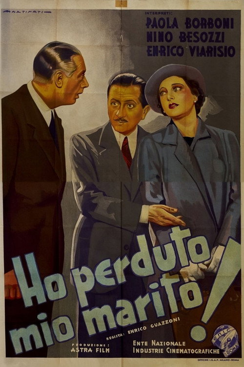 I've Lost My Husband! poster