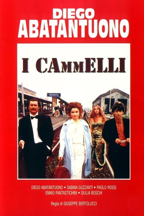 The Camels poster