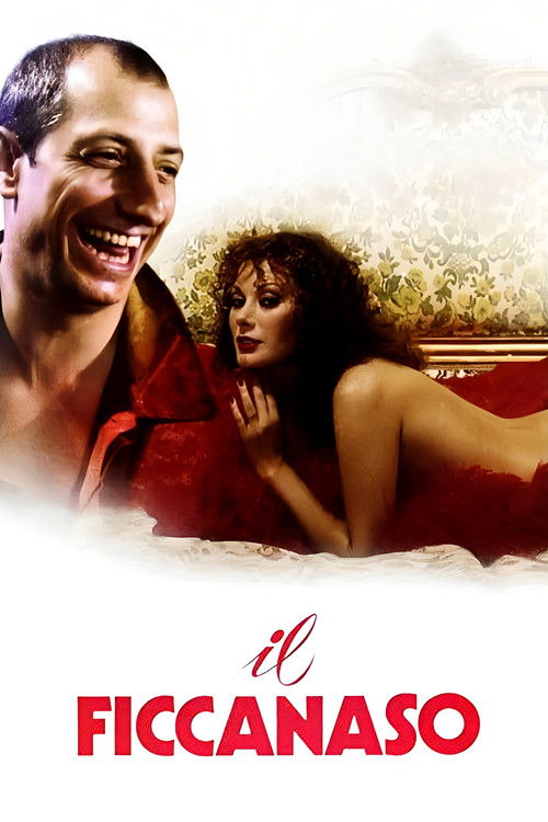 Il ficcanaso poster