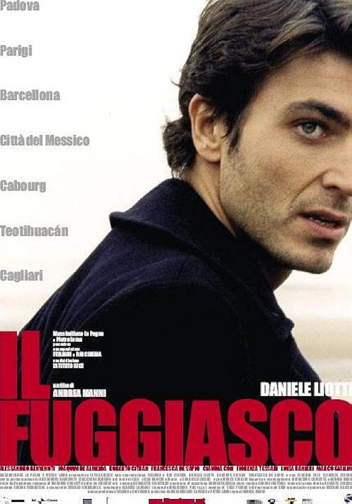 The Fugitive poster