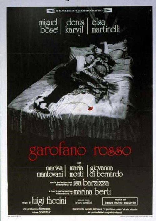 Garofano rosso poster