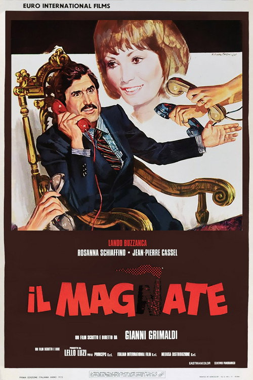 Il magnate poster