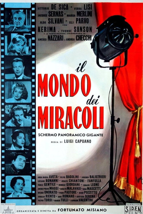 World of Miracles poster