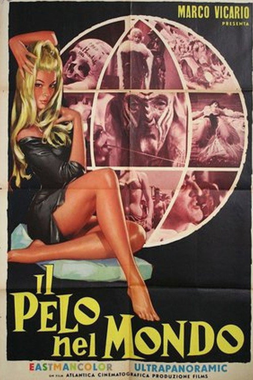 Il pelo nel mondo poster
