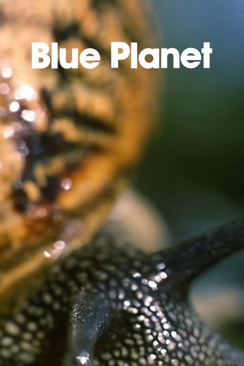 Blue Planet poster