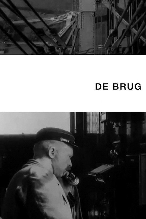 De brug poster