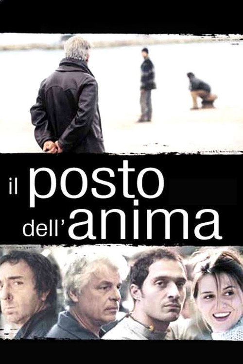 The Soul's Place poster