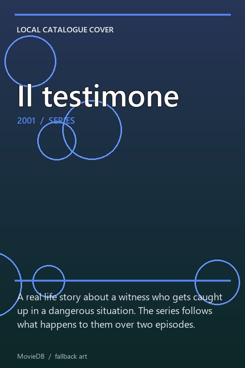 Il testimone poster