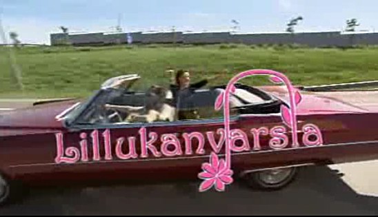 Lillukanvarsia poster