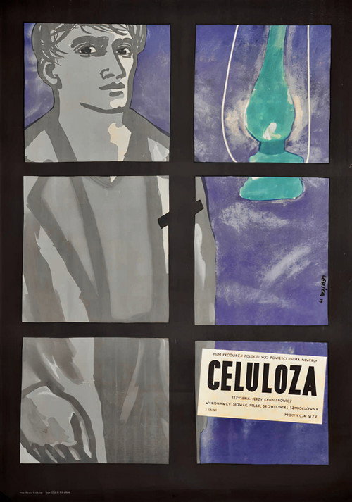 Celuloza poster