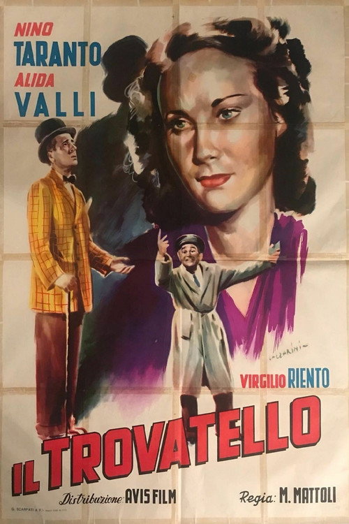 L'ha fatto una signora poster