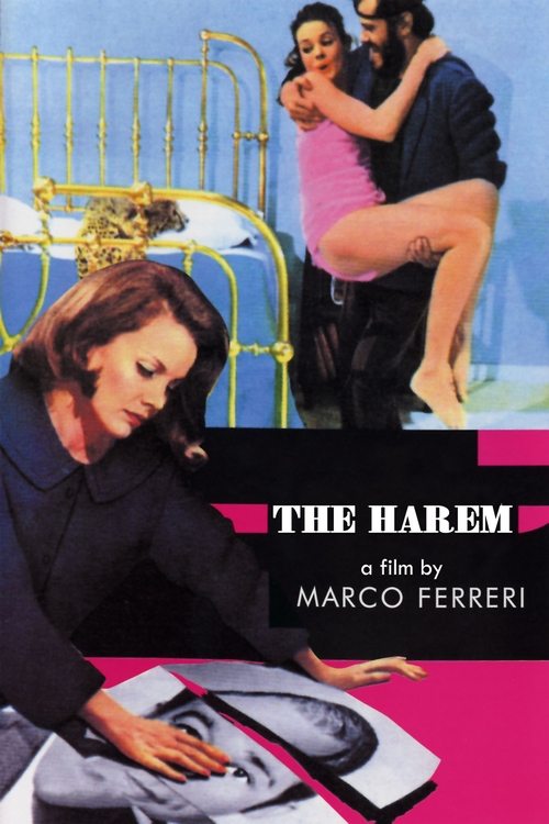 Her Harem poster