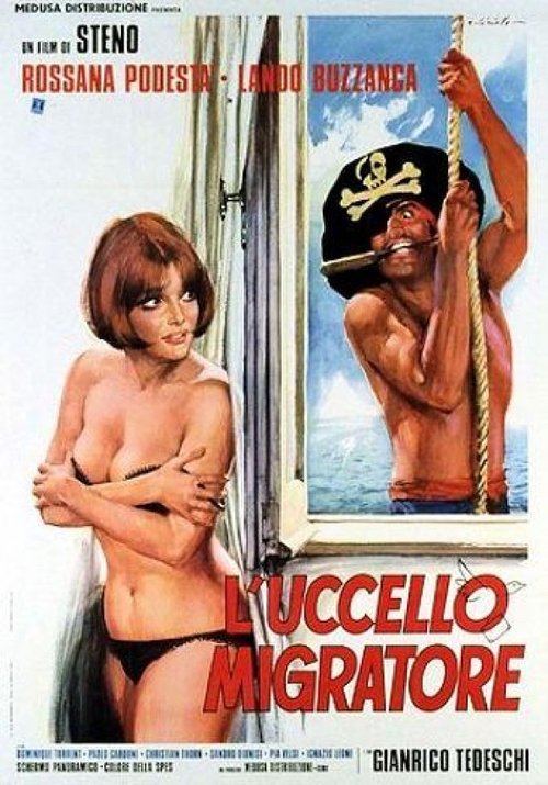 L'uccello migratore poster