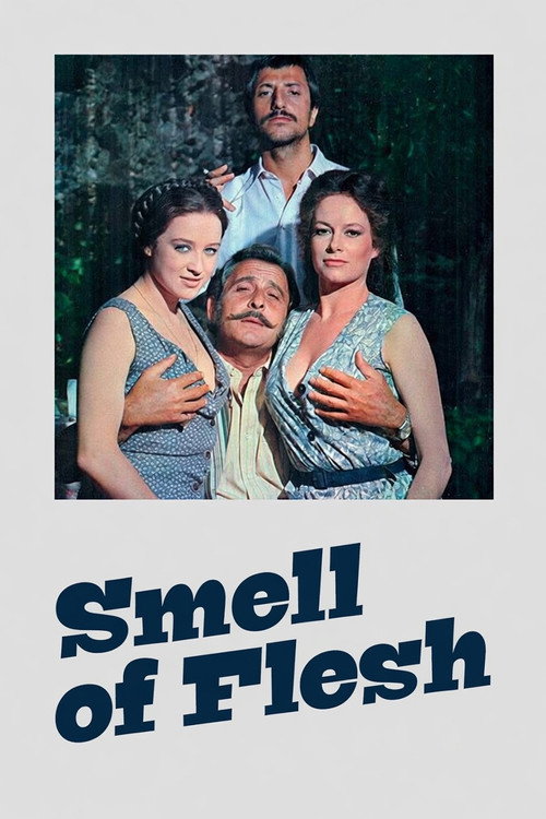 La sbandata poster