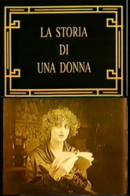 A Woman's Story poster