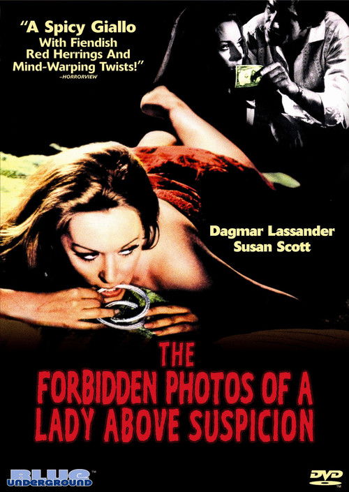 Le foto proibite di una signora per bene poster