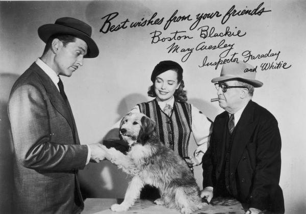 The Adventures of Boston Blackie poster