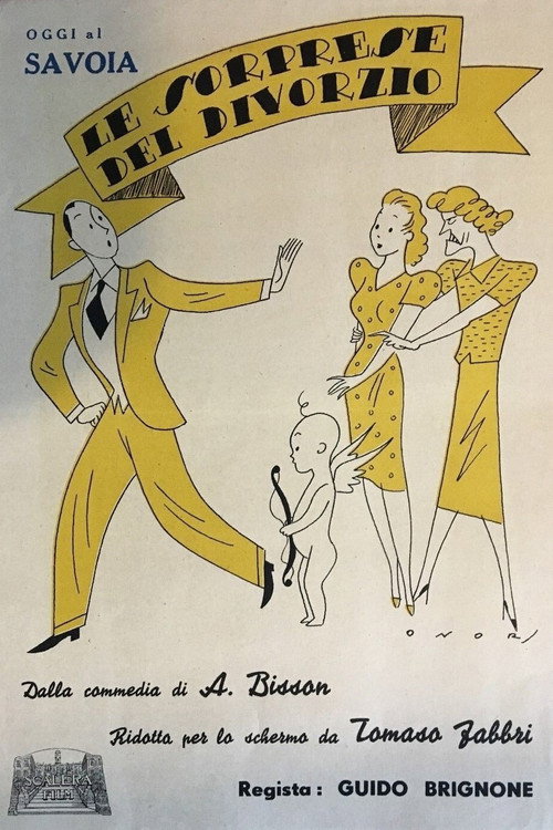Le sorprese del divorzio poster