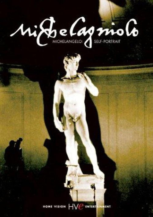 Michelangelo: A Self Portrait poster