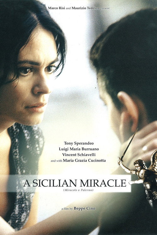 Miracle in Palermo! poster